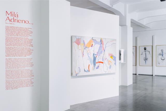 Adriena Šimotová, Milá Adrieno…, Museum Kampa. | Foto: Archiv Museum Kampa