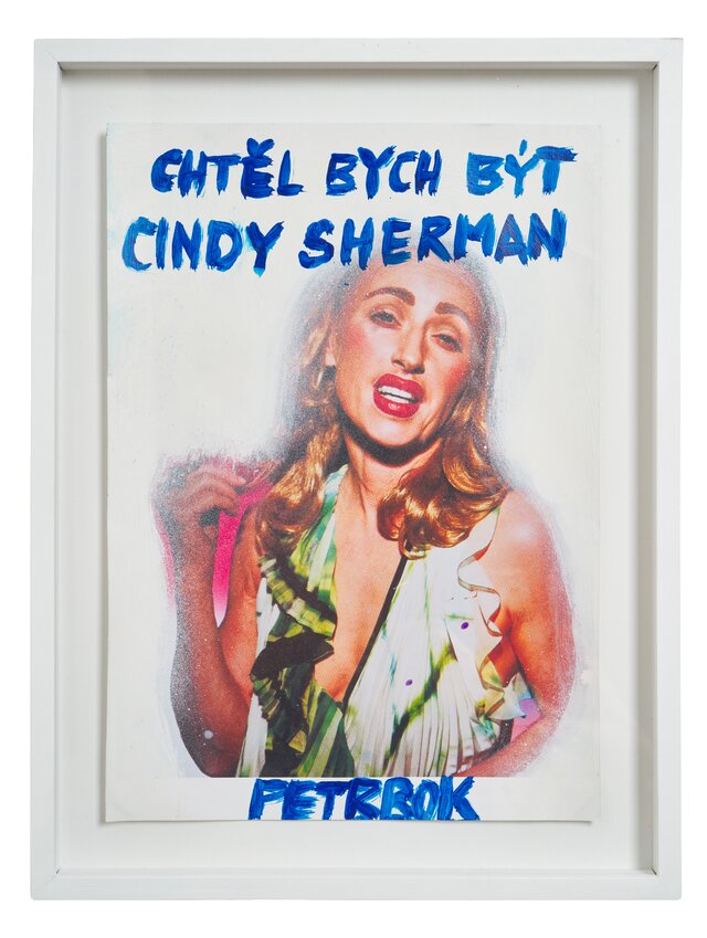 Jiří Petrbok, Chtěl bych být jako Cindy Sherman, kombinovaná technika, kazetový rám, 27 x 36, 2025.