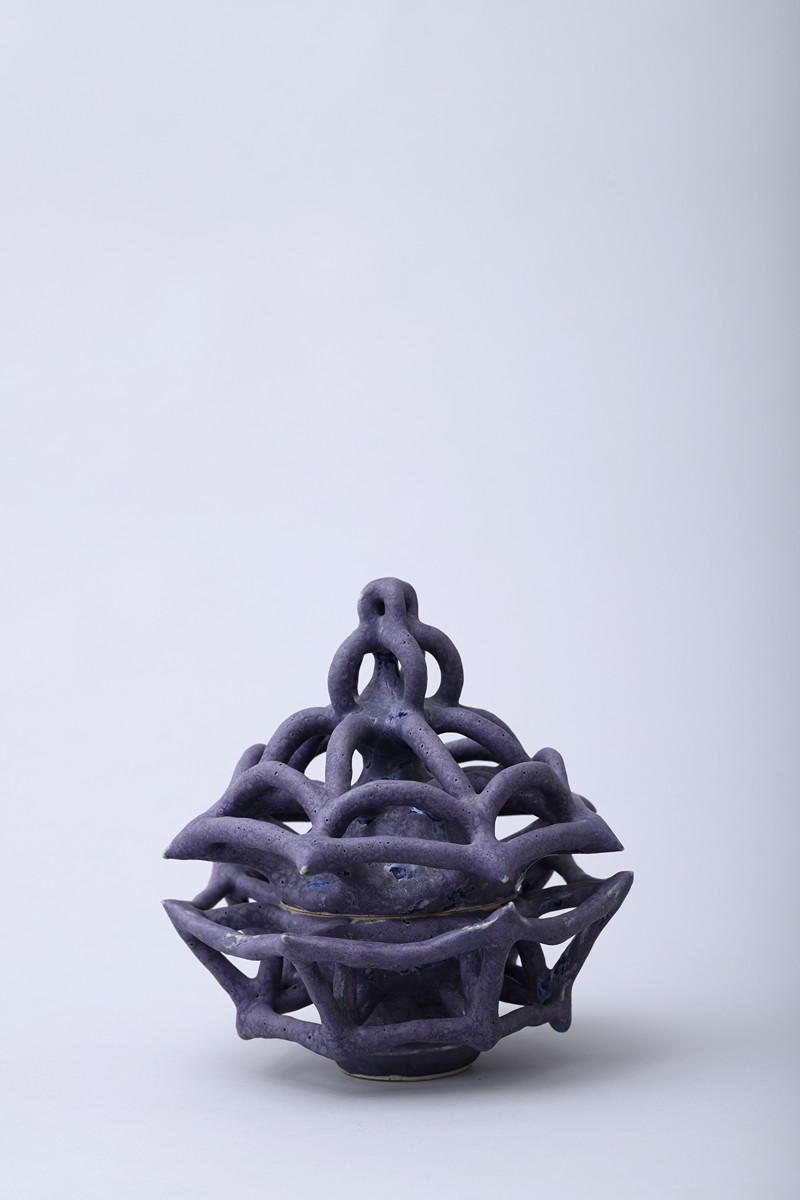 Johana Hnízdilová - Spider nest