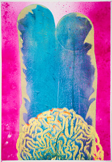Patrik Kriššák (1986) - Brain Coral