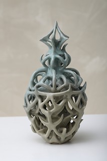 Johana Hnízdilová - Celadon Protector