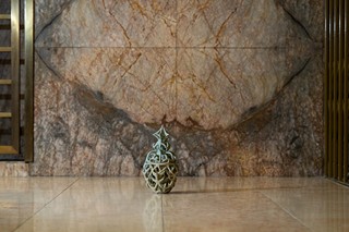 Johana Hnízdilová - Celadon Protector