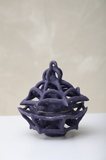 Johana Hnízdilová - Spider nest