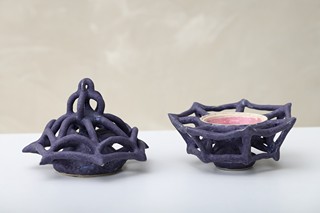 Johana Hnízdilová - Spider nest