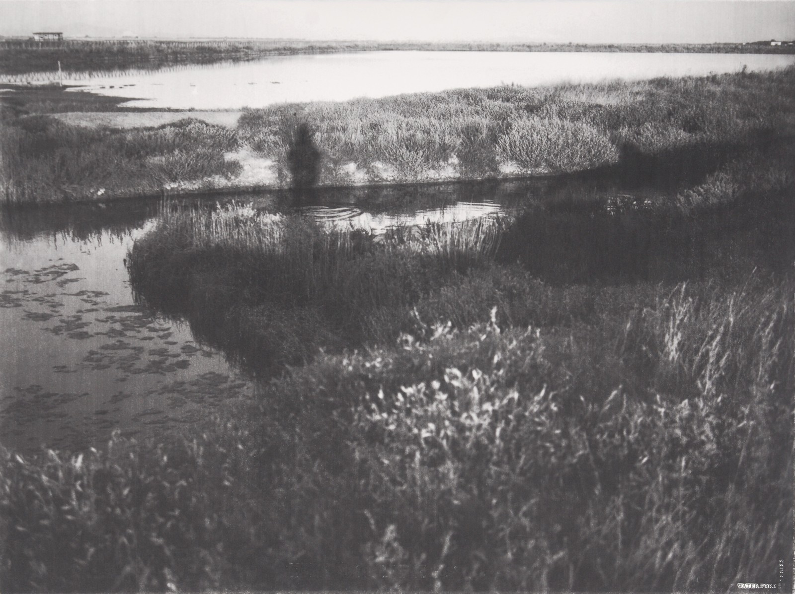 Jan Jedlička (1944)