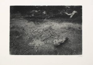 Jan Souček (1941-2008) Jiří Stach (1944)