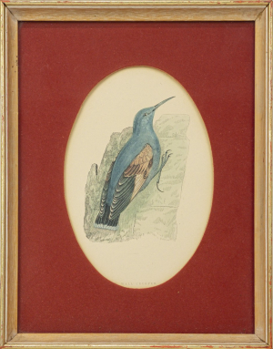 Alexander Francis Lyon (1837-1917)