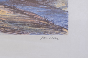Jan Vlček (*1940)