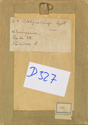Helena Emingerová / pseudonym A. Holanová (1858 - 1943)