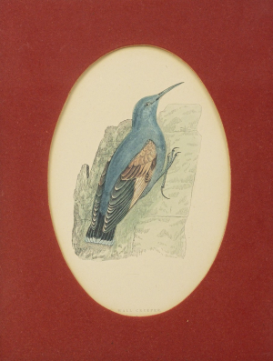 Alexander Francis Lyon (1837-1917)