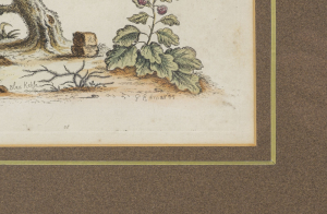 George Edwards (1694-1773)