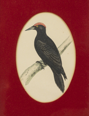 Alexander Francis Lyon (1837-1917)
