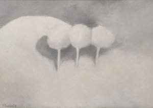 Vladimír Komárek (1928-2002)