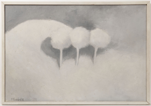 Vladimír Komárek (1928-2002)