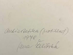 JANA ŽELIBSKÁ (1941): Antiestetika (Protiklad)