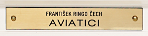 František Ringo Čech