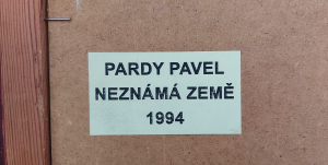 Pavel Pardy - Neznámá země