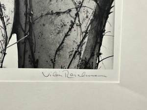 Reichmann Vilém | Opuštěná