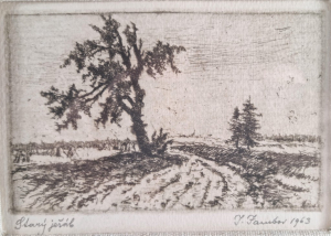 Starý jeřáb,
Jambor Josef, idd
13507