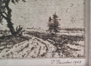 Starý jeřáb,
Jambor Josef, idd
13507