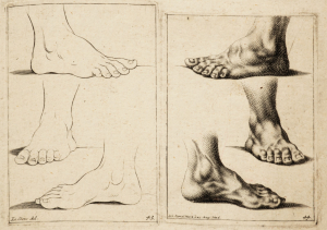 Johann Daniel Herz 1693-1754 - Anatomie