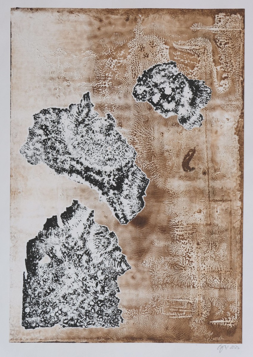 Eva Čapková: Meteoroidy I