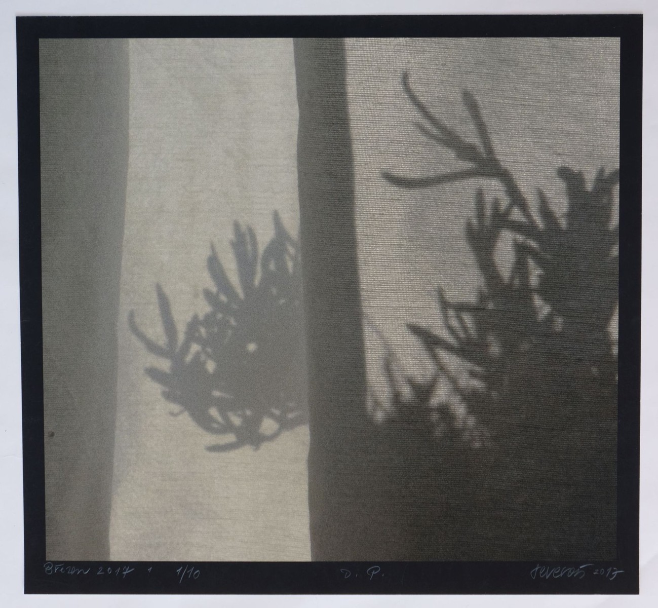 Jaroslava Severová: Březen 2017