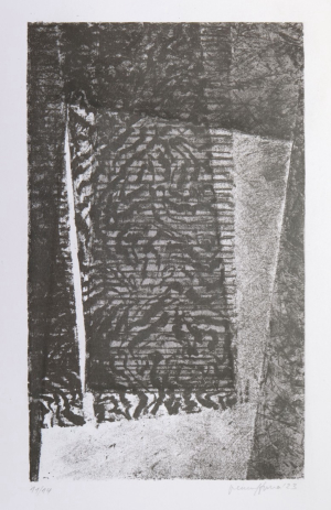 Pavel Hora: Clona II