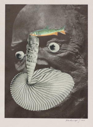 Jan Švankmajer