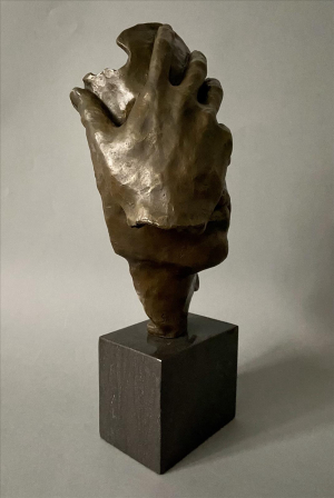 Salvador Dalí - Zamyšlení