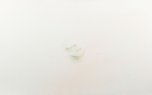 Pavel Příkaský (*1985) Věc