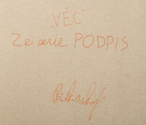 Pavel Příkaský (*1985) Věc