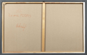 Pavel Příkaský (*1985) Věc