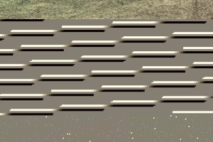 Bohdan Lacina (1912–1971) Ve stínu lesa