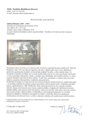 Oldřich Blažíček (1887–1953) Vesnička na Českomoravské Vysočině