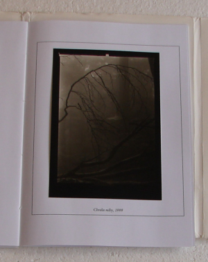 Helbich Petr - Chvály - Úvahy a fotografie