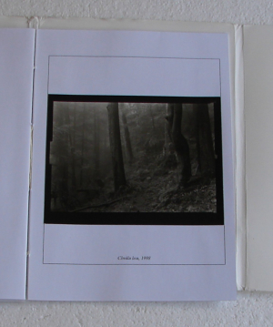 Helbich Petr - Chvály - Úvahy a fotografie