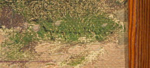 Neogrady Antal - Husopaska