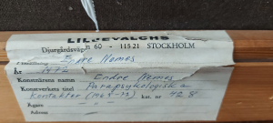 Endre Nemes - Parapsychologické kontakty
