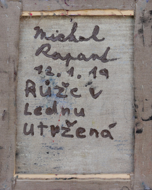 Michal Rapant