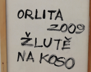 Lukáš Orlita