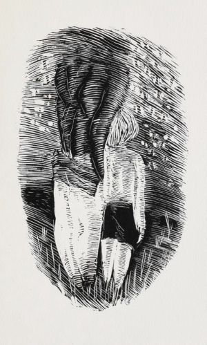 ŠÍMA Josef (1891-1971): Dvě ilustrace