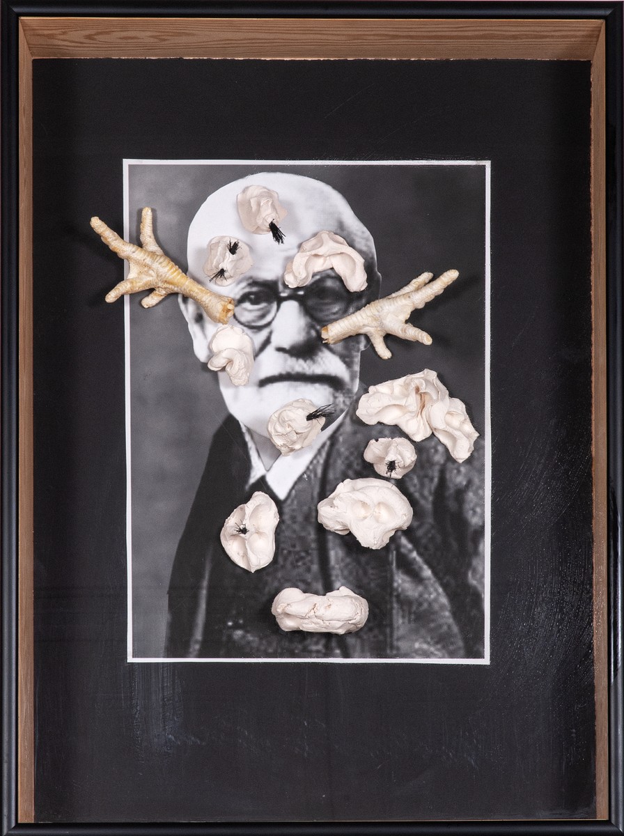 Jan Švankmajer - Taktilní Sigmund Freud