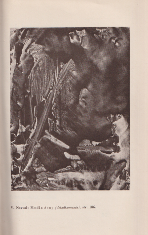 Jindřich Štyrský - V. Nezval: Absolutní hrobař * básně 1937