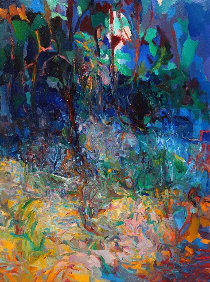 Vašíček Pavel (* 1979) - Lesní jezírko