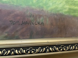 Roman Havelka
