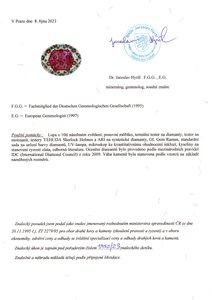 Secesní náhrdelník s diamanty