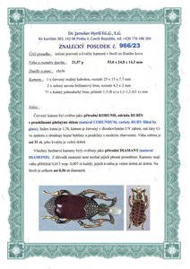 Zlatá brož brouk, 2. pol. 20. stol.