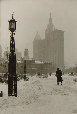 Růžička Drahomír : New York