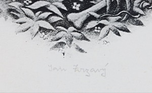 Jan Zrzavý (1890 - 1977)